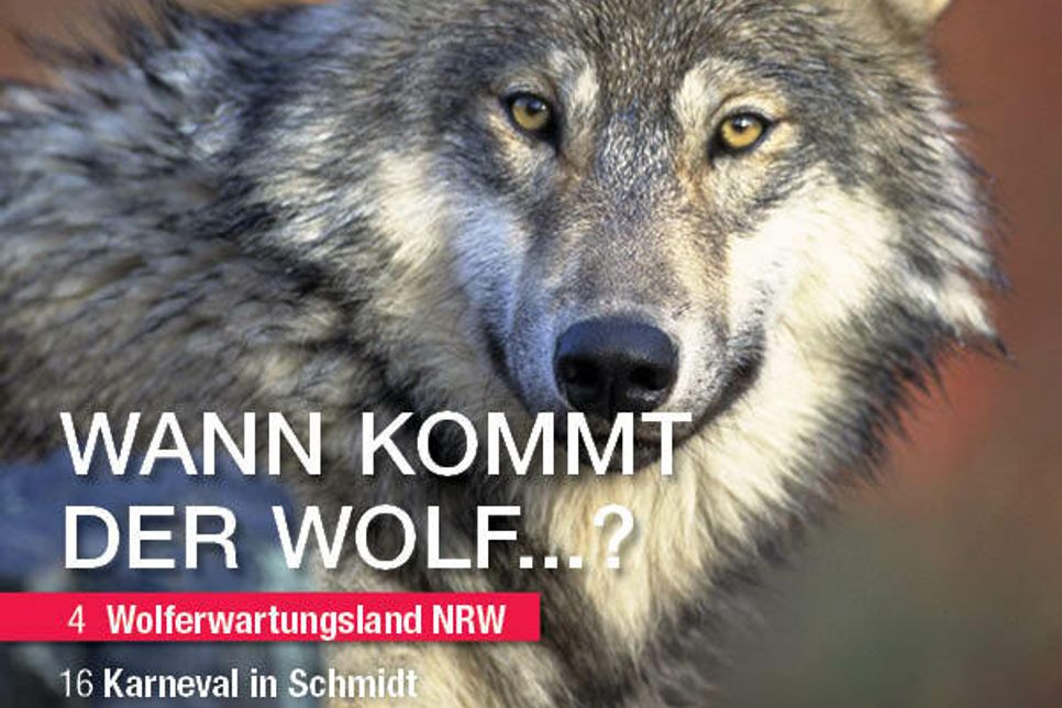 Das neue Live-Magazin kommt in frischem und modernem Design daher und fragt: »Wann kommt der Wolf...?«