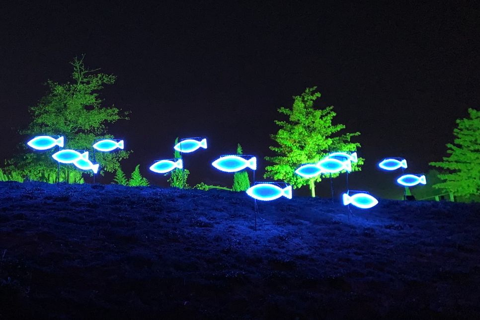 Auf eine mystische Zauberwelt aus buntem Licht dürfen sich die Besucher der „Leuchtenden Gärten Zülpich - mit Energie von e-regio“ freuen, die vom 18. September bis 4. Oktober 2020 erstmals im Seepark Zülpich stattfinden. Fotos: Seepark Zülpich