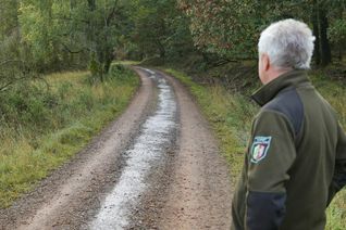 Über 200 Meter erstreckte sich der Ölfilm auf dem Wanderweg Kohlweg. Das Wegematerial musste durch eine Spezialfirma entfernt und entsorgt werden. Foto: Nationalparkverwaltung Eifel/M. Weisgerber