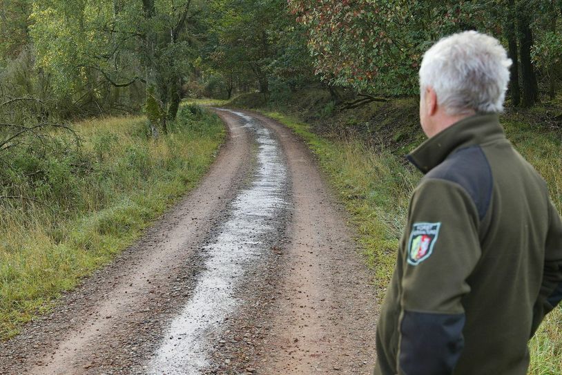 Über 200 Meter erstreckte sich der Ölfilm auf dem Wanderweg Kohlweg. Das Wegematerial musste durch eine Spezialfirma entfernt und entsorgt werden. Foto: Nationalparkverwaltung Eifel/M. Weisgerber