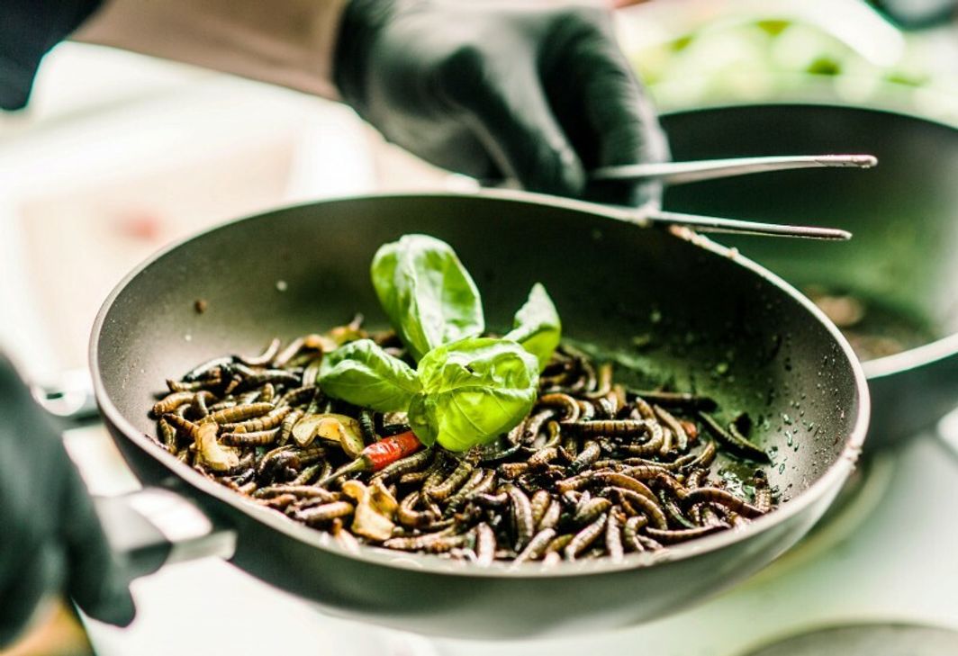 Außergwöhnliche Insekten-Kost oder saftige Burger: Beim Street Food Festival wird jeder satt.