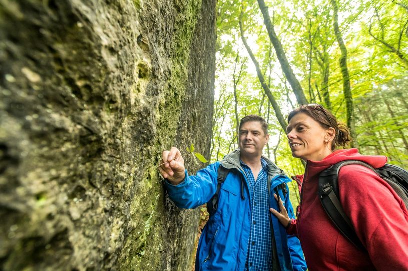 Er zieht Touristen ins Prümer Land: Der Schneifel-Pfad. Auf ihm bestaunen Wanderer mächtige Dolomitfelsen im Naturschutzgebiet Schönecker Schweiz. Foto: Eifel Tourismus GmbH/D. Ketz