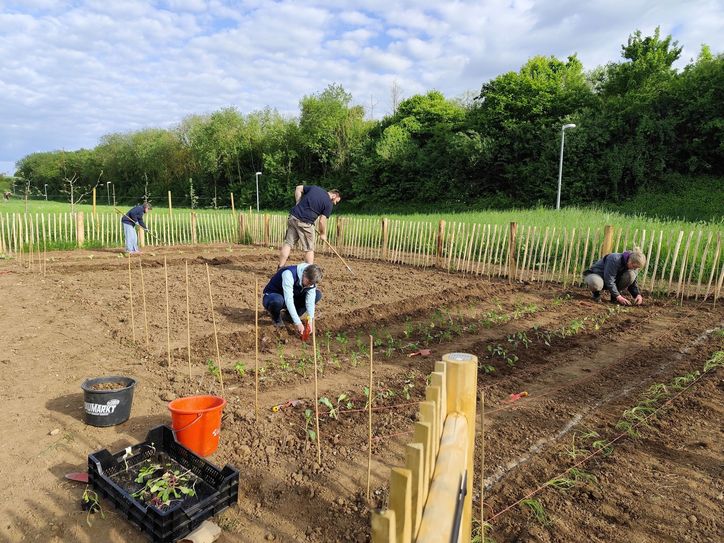 Das Projekt »Essbare Gemeinde« zeigt praxisnah, wie »Essbares« gepflanzt, gepflegt und geerntet wird. Das gemeinsame Gärtnern stärkt außerdem den sozialen Zusammenhalt.