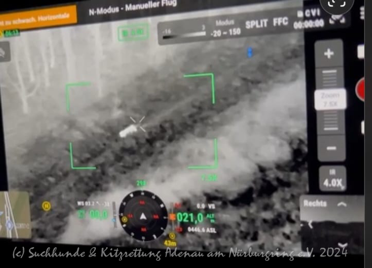 Baghira wurde auch aus der Luft gesucht: Drohnenaufnahme zeigen das kleine Tier am Rand der Autobahn.