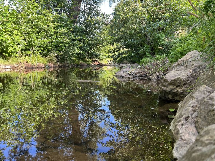 Auch die Urft hat, wie hier im Rosental, schöne Stellen, an denen man sich abkühlen könnte. Der WVER warnt jedoch vor Gefahren.
