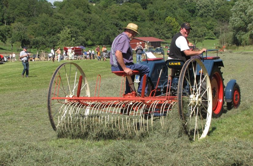 Heuernte wie anno dazumal: Beim Fest des Ackerbauvereins drehen historische Geräte ihre Runden.