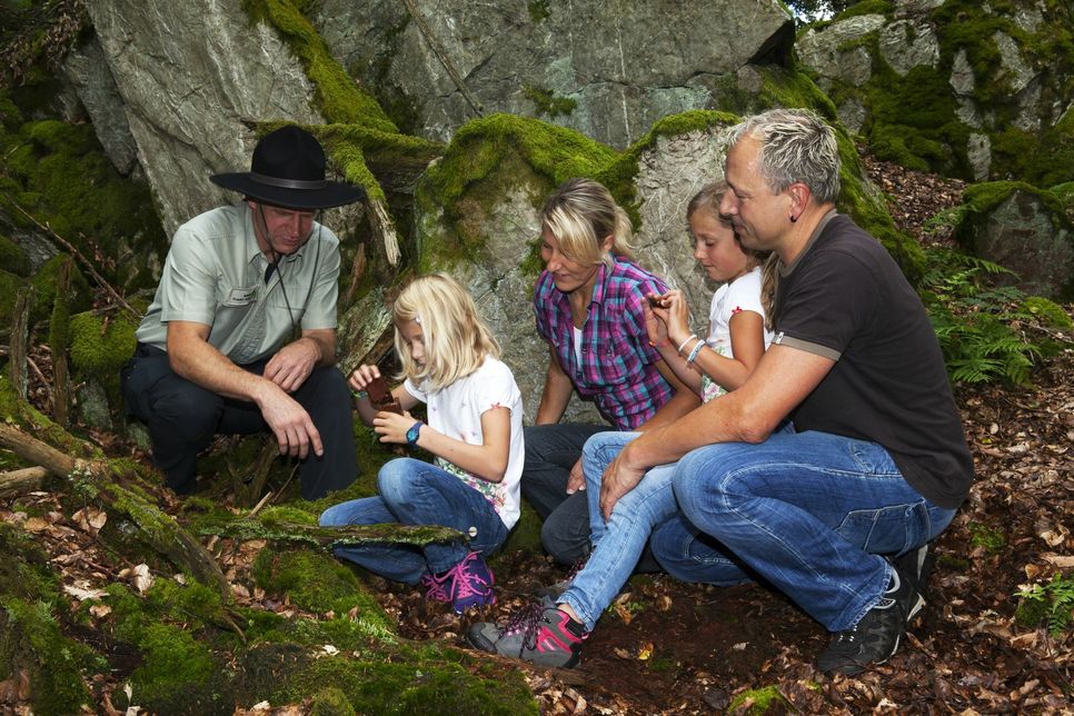 Mit der neuen Nationalpark-Fankarte können Besucher bei Ranger- und Erlebnistouren im Nationalpark Hunsrück-Hochwald nicht nur Natur erleben, sondern gleichzeitig Stempel sammeln. Nach fünf Stempeln bekommen die Teilnehmer für ihre Treue ein Geschenk. Foto: FF