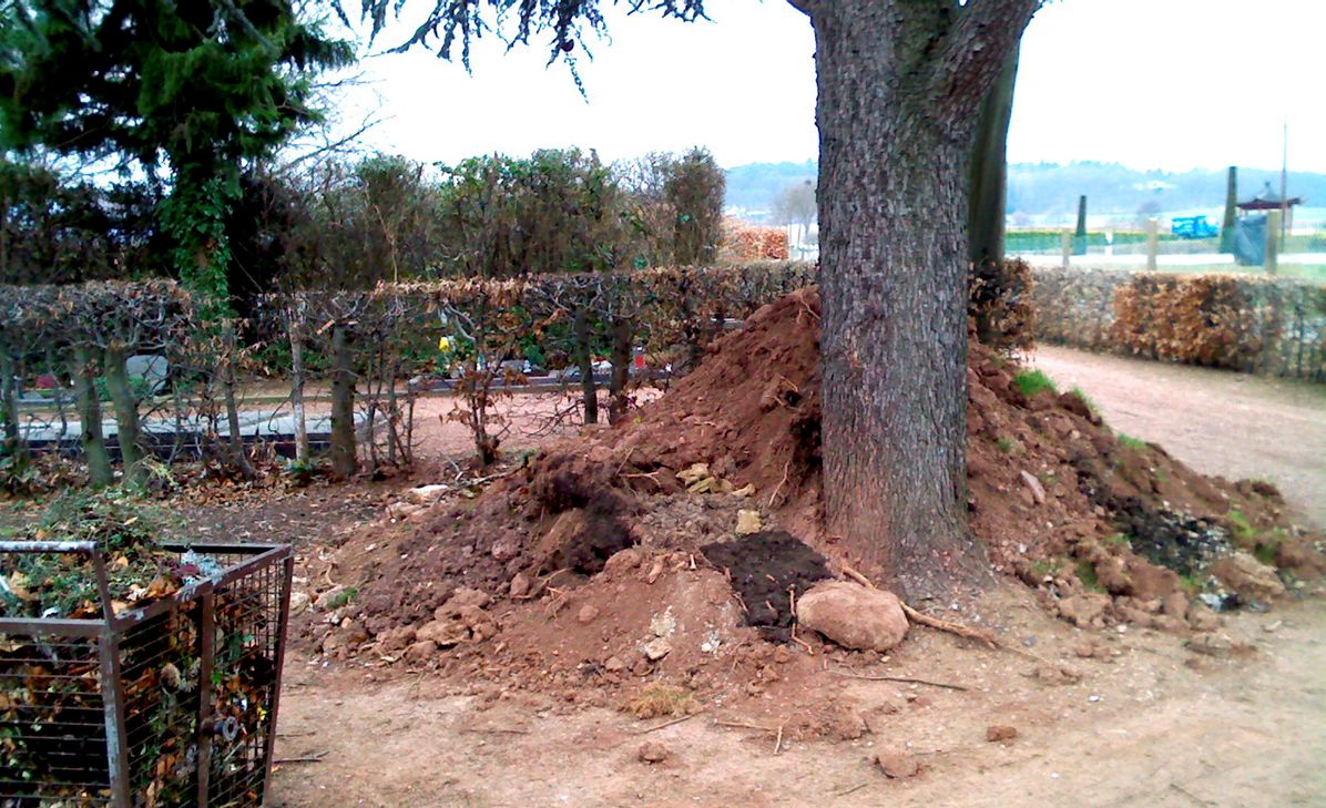 Auch auf dem Friedhof in Kommern wurden Erdaushub und Bauschutt abgeladen. Die Stadt Mechernich versucht nun, die Übeltäter ausfindig zu machen und bittet die Bevölkerung um Mithilfe. Foto: Stadt Mechernich/pp