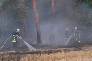 Das Regionalforstamt Hocheifel-Zülpicher Börde warnt vor der Gefahr von Waldbränden.
