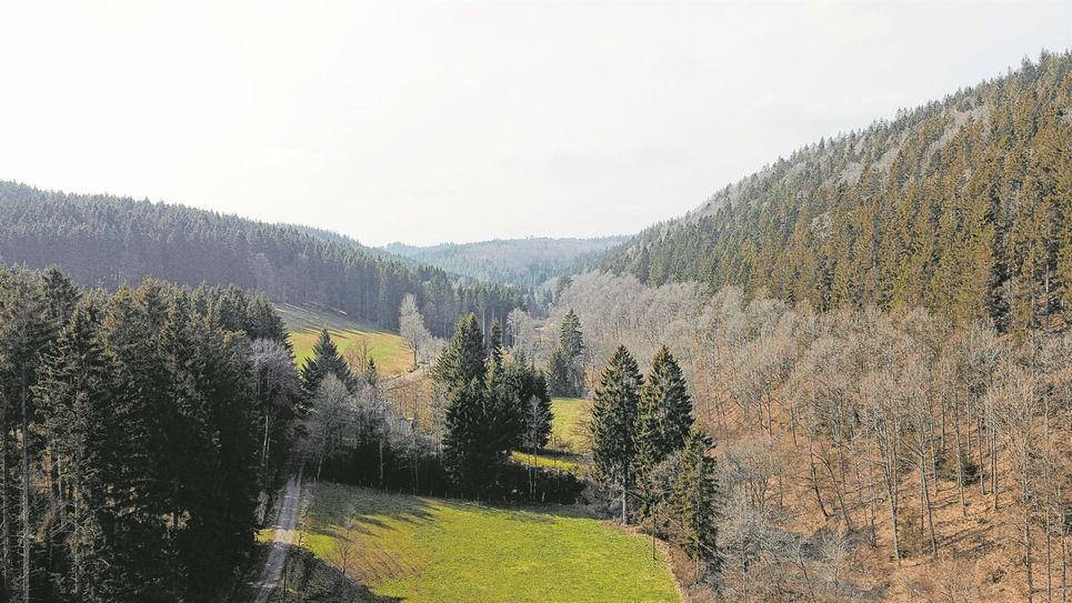 Im Platißbachtal zwischen Hellenthal und Hollerath könnte eine neue Talsperre entstehen.