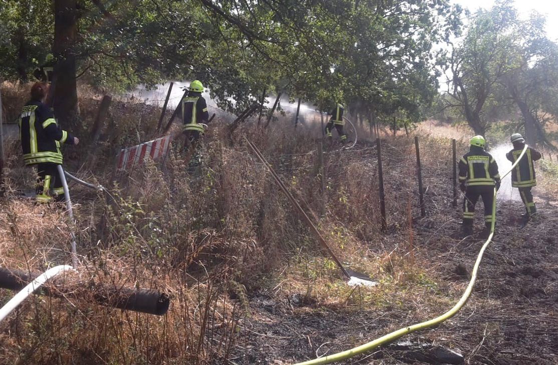 Der Flächenbrand oberhalb der Straße "Im Raul" in Waldböckelheim. Fotos: Feuerwehr Rüdesheim