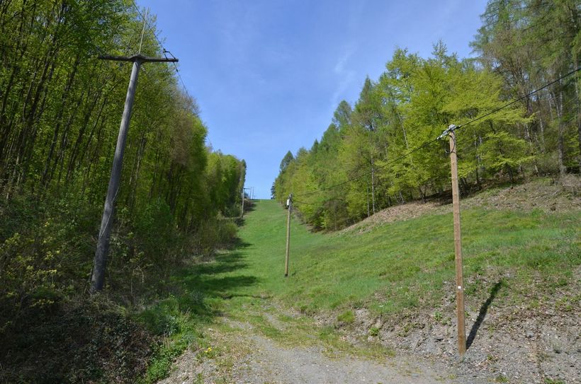 Durch diese Schneise im Wald könnte schon bald eine Seilbahn Mountainbiker, aber auch andere Touristen befördern. Foto: Thomas Förster