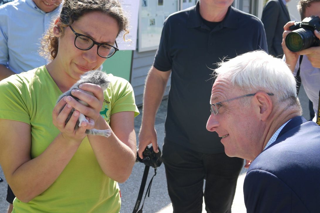 Oberbürgermeister Wolfram Leibe begrüßt einen dreiwöchigen Tierheim-Bewohner.