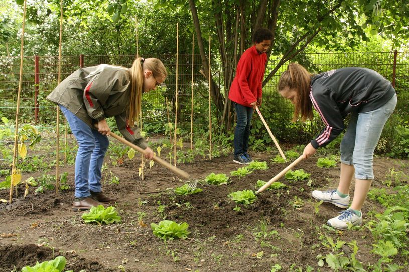 So wie hier harken auch die Jugendlichen der Sekundarschule Nordeifel in ihrem eigenen Garten. Das Projekt »GemüseAckerdemie« wird vom Nordeifeler Businessrun unterstützt. Foto: Ackerdemia e.V.