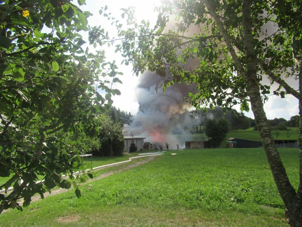 Dieses Holzhaus in Oberschömbach, in dem unter anderem 20 Bienenstöcke untergebracht waren, wurde ein Raub der Flammen. Foto: Polizei