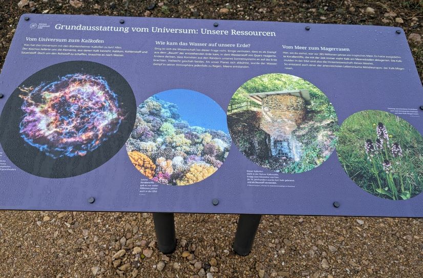 Schwerpunktthema in Rohr sind "Lebensräume".