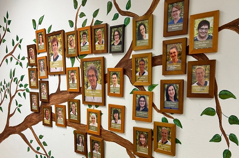 Die Teamfotos der Geburtshilfe bilden den Lebensbaum.
