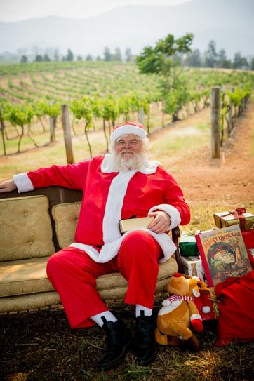 Down under kann es sich der Weihnachtsmann im ergrünenden Weinberg gemütlich machen. Foto: Unsplash