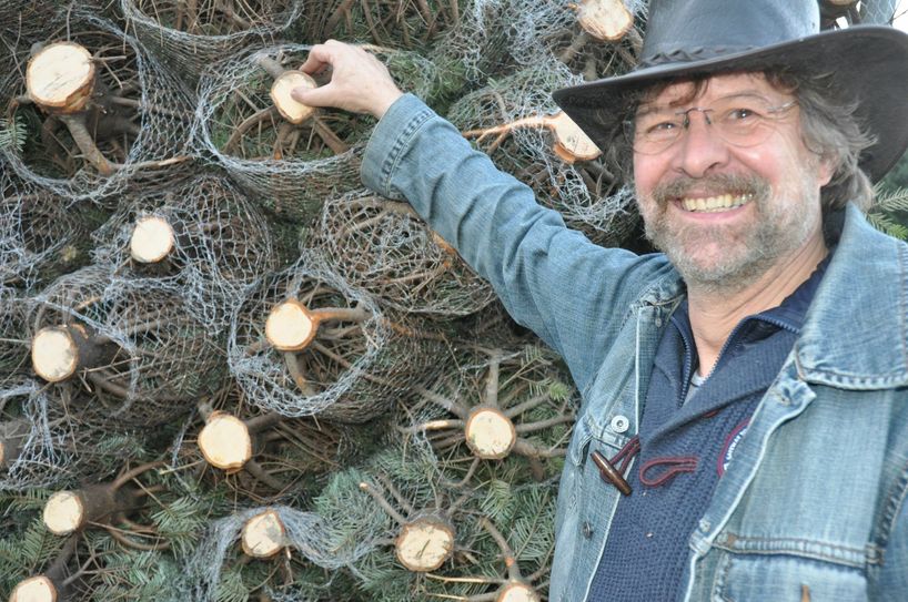 "Alles im grünen Bereich": Georg Valder, Herr über eine Million Tannenbäume, testet die Schnittstellen der Bäume.