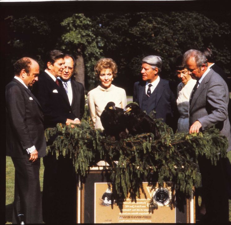 Carol und Captain hießen die beiden Jungadler, die Horst Niesters (r.) und Helmut Schmidt (2.v.r.) 1982 dem US-Präsidenten Ronald Reagan (2.v.l.) schenkten. Foto: Greifvogelstation Hellenthal