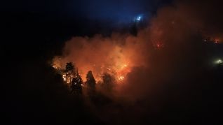 Brand bei Traisen am Rotenfels