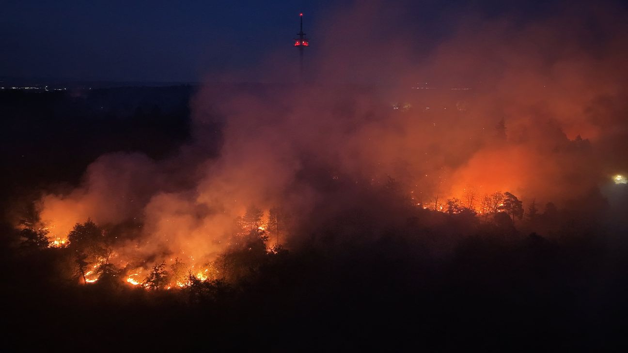Brand bei Traisen am Rotenfels