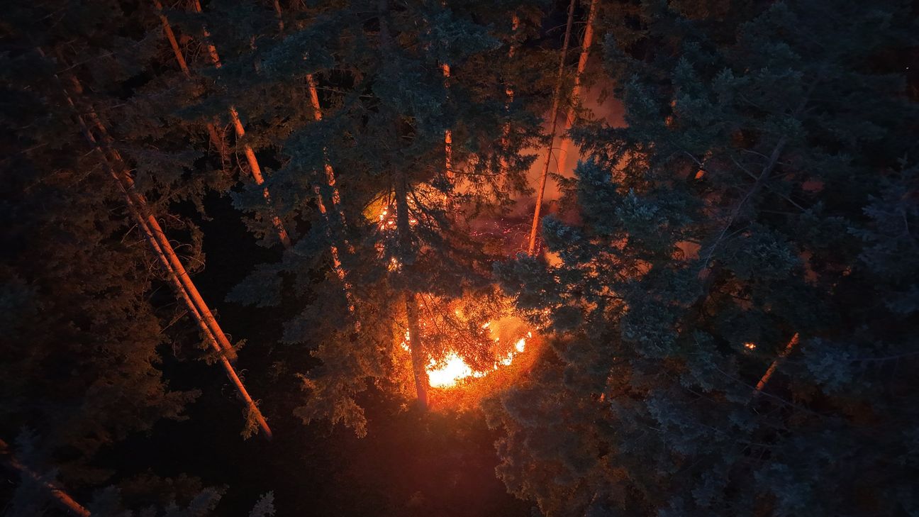 Brand bei Traisen am Rotenfels