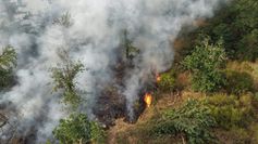 Brand bei Traisen am Rotenfels