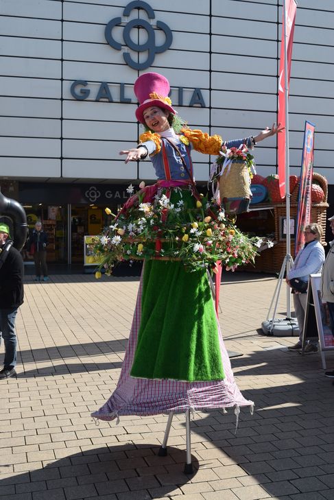 Eine Blumenfee verteilte Rosen an die Besucher