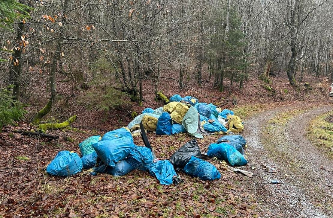 Ort der illegalen Müllentsorgung