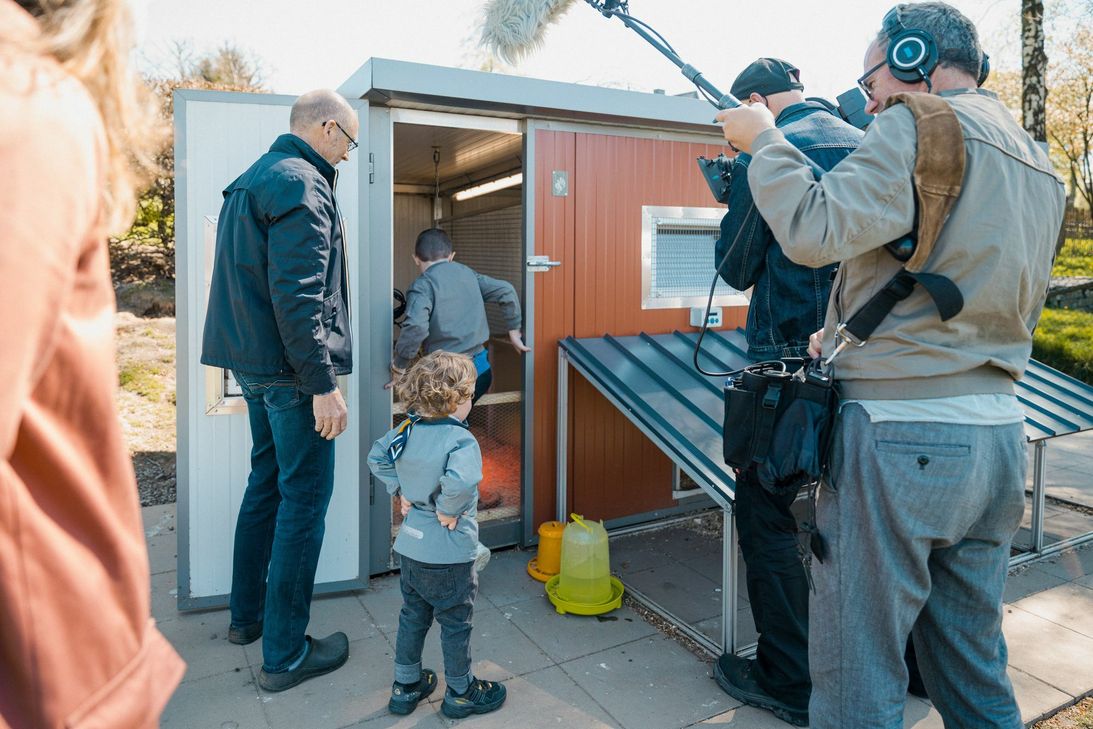 Als kleine Küken (Bild oben rechts) und beim Umzug in die Eifel werden die Hühner in der »Sendung mit der Maus« voraussichtlich im September zu sehen sein. Foto: M. Graf