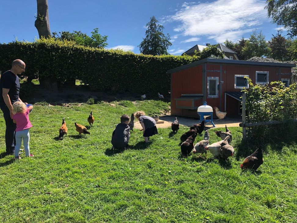 Jung und Alt erfreuen sich im Hause Graf in Konzen am berühmten Federvieh. Foto: T. Förster