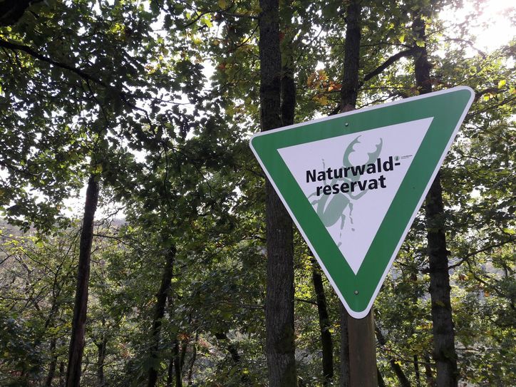 Als Naturwaldreservat werden größere Wald­gebiete ausgewiesen, in denen die Entnahme von Holz und sonstige forstwirtschaftliche Nutzungen untersagt sind. Das sind die "Urwälder von morgen".
