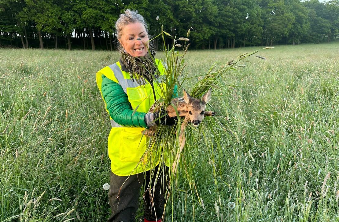 Das ist eines von vielen Rehkitzen, die durch die ehrenamtliche Arbeit des Vereins »Kitzrettung Kreis Euskirchen« vor dem Tod bewahrt wurden.