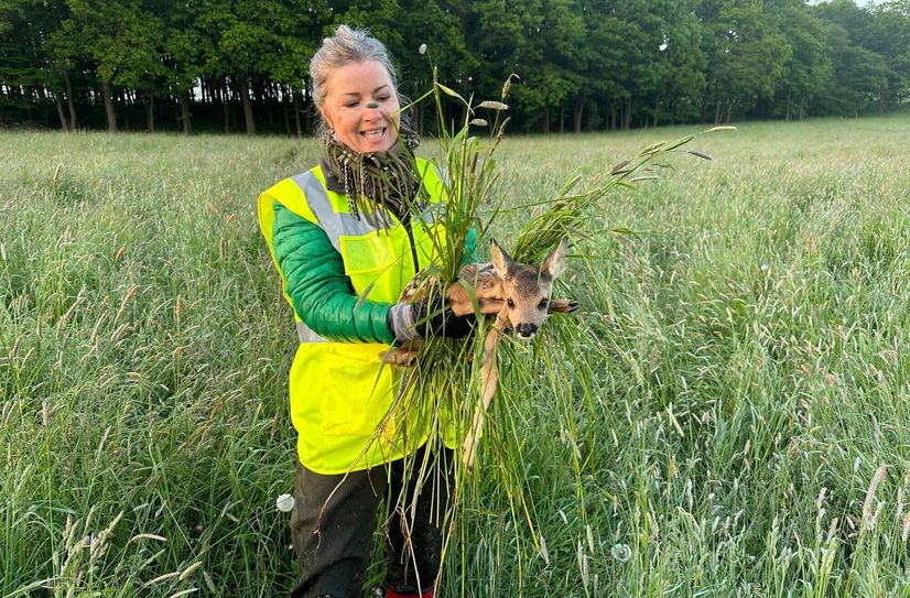 Das ist eines von vielen Rehkitzen, die durch die ehrenamtliche Arbeit des Vereins »Kitzrettung Kreis Euskirchen« vor dem Tod bewahrt wurden.