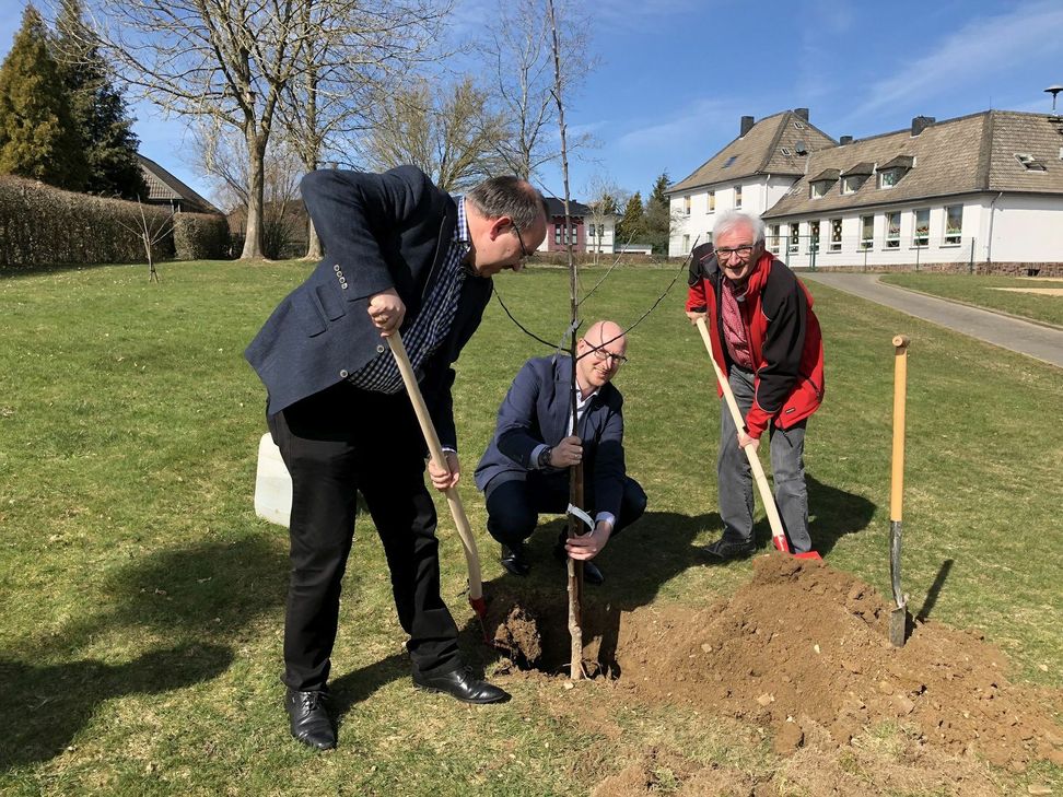 Der erste Vorsitzende des Eifelvereins Dreiborn, Georg Gerhards (v.re.), Bürgermeister Ingo Pfennings und Landtagsabgeordneter Dr. Ralf Nolten pflanzten einen Apfelbaum in Dreiborn. Weitere sollen im Stadtgebiet folgen. mn-Foto
