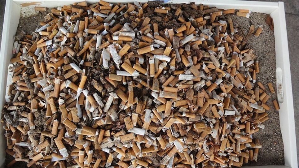 Zigarettenkippen sind giftiger Sondermüll und gehören richtig entsorgt. Die Aktion »Kippenfreies Dorf in Reil« im Rahmen des Ersten Freiwilligen-Mitmach-Tages der VG Traben-Trarbach  wurde von der Reiler Klimaschutzpatin und mithilfe des Vereins »Tobacycle« organisiert. Foto: Tobacycle