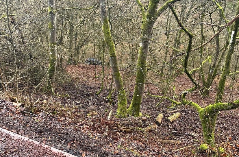 Am Sonntagmorgen ist ein Auto 100 Meter einen Hang hinuntergestürzt. Zwei Männer wurden dabei verletzt.