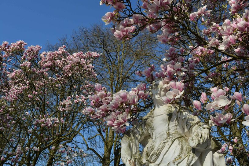 April: Frühlingsträume im Palastgarten: der Lenz zeigte sich Anfang April von seiner Bilderbuchseite. Bei milden Temperaturen, blauem Himmel und Sonnenschein explodiert die Natur geradezu.