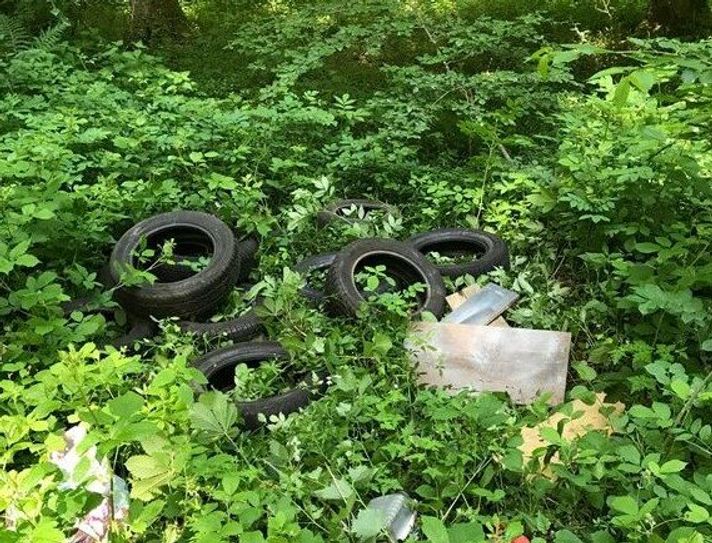 Illegale Müllablagerung in Kürrenberg.