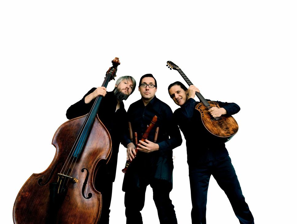 "Wildes Holz" kommen in die Moselauen von Bernkastel-Kues. Foto: Harald Hoffmann