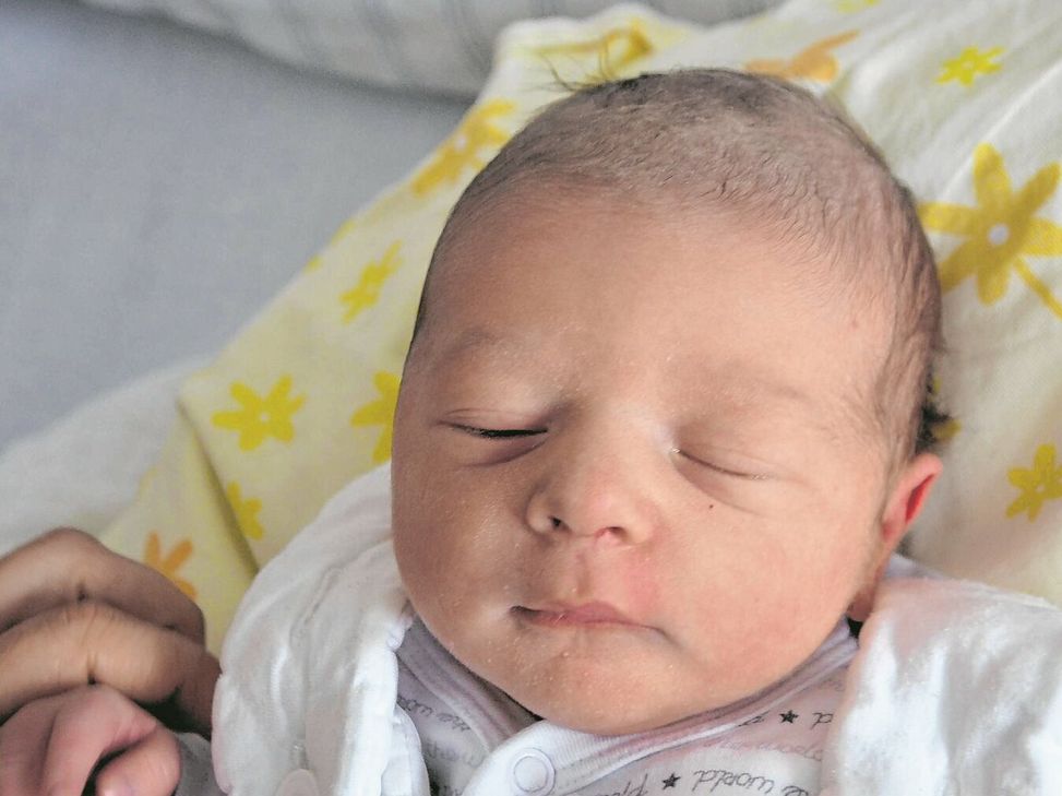 Maximilian Laslo Pußel