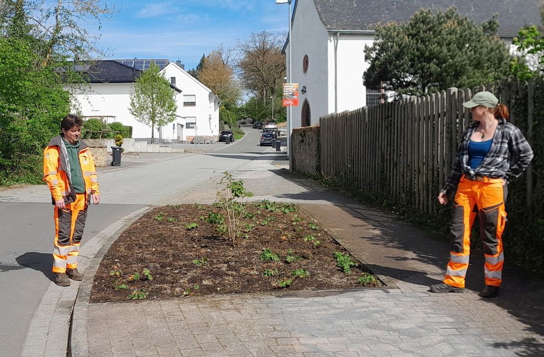 Bereits zum zweiten Mal wurden in der Kaller Pfarrer-Reinartz-Straße Pflanzen aus öffentlichen Beeten entwendet, wie Sascha Lützeler und Christine Woelk vom Bauhof feststellen mussten.