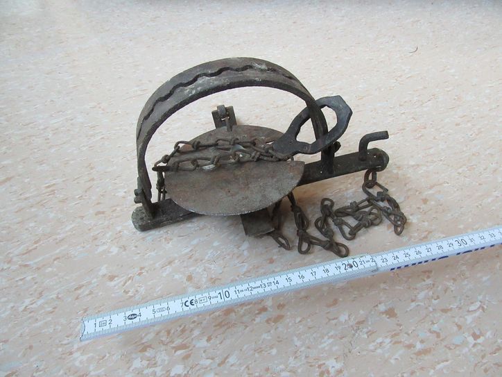 Foto: Polizei Bernkastel-Kues