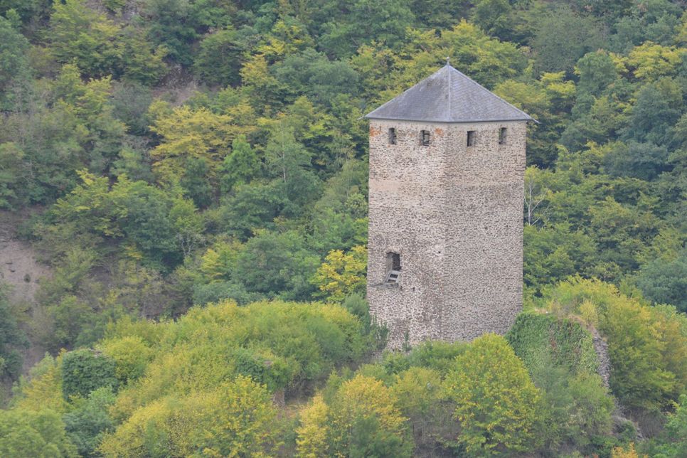 Auch die Burg Treis (Foto) gehört neben der »Wildburg« zum Areal, das der russische Millionär Alexander Dragilev gekauft hat. Fotos: Zender
