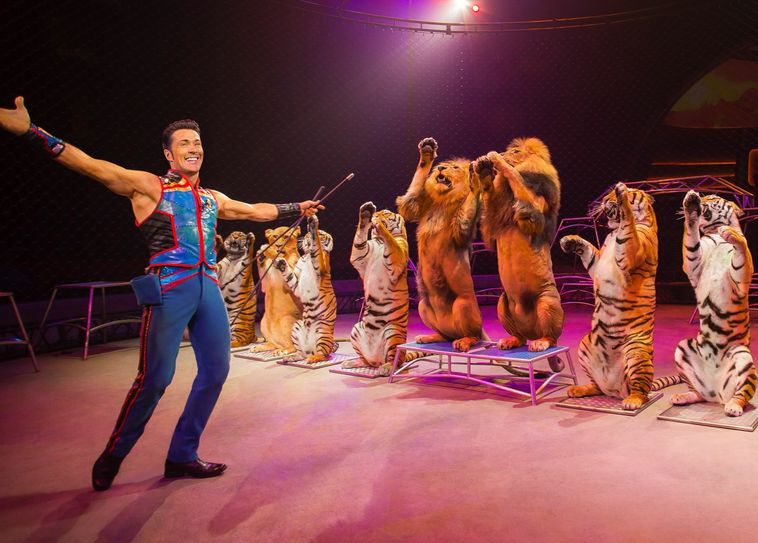 Alexander Lacey präsentiert im Zirkus Charles Knie seine unvergleichliche gemischte Raubtiergruppe.