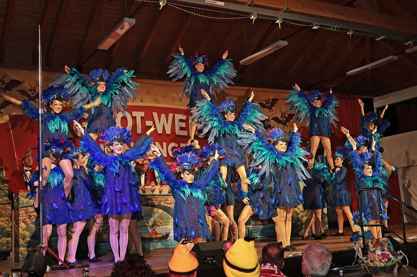 Die Showtanzgruppe begeisterte.