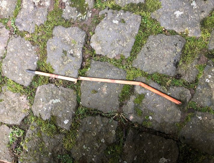 Dieser Pfeil traf einen Fuchs im Hals.