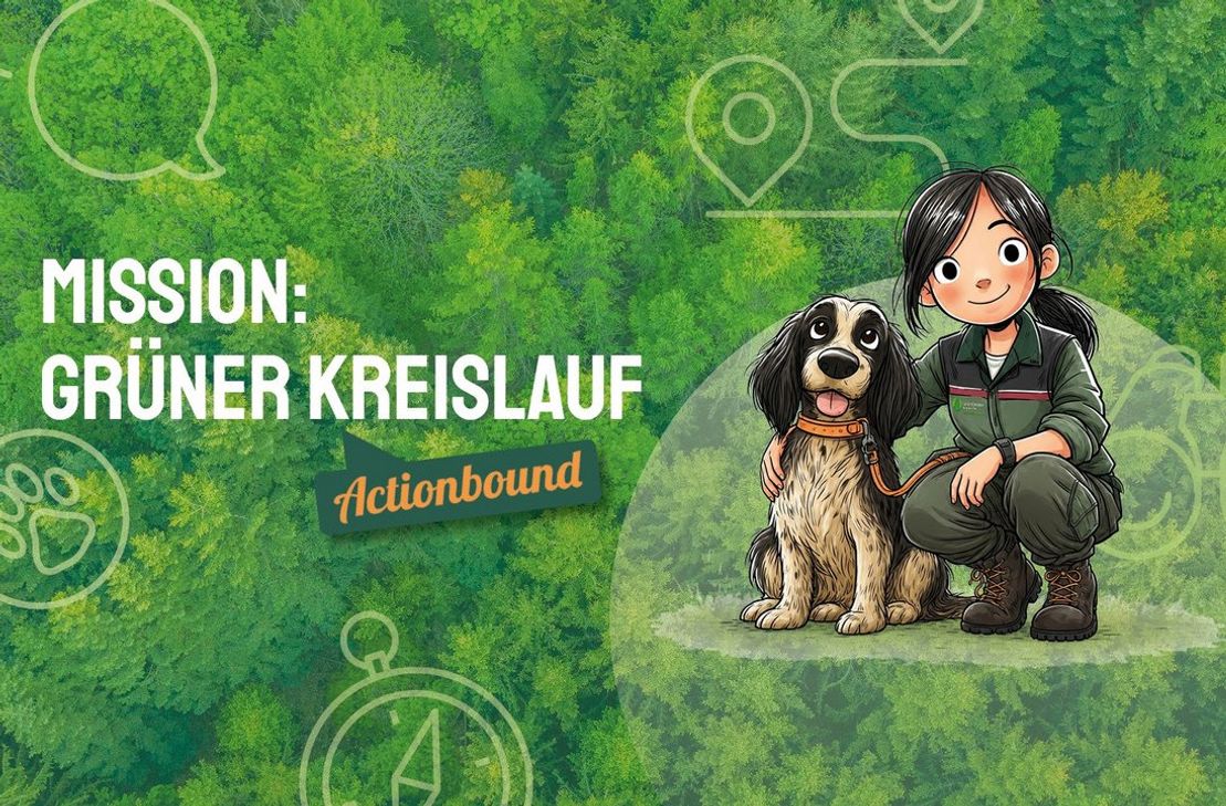Die Tour startet am Eingang der Burgstadtschleife im Stadtwald Kastellaun.