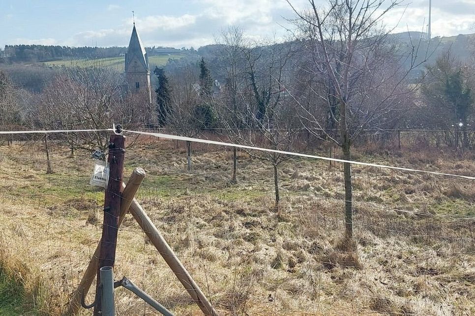 Eine mit Knotengitter eingezäunte Schafskoppel (Streuobstbestand) oberhalb des Friedhofs will die Dorfgemeinschaft Kallmuth einem Schafhalter der Umgebung zur ökologischen Nutzung überlassen.
